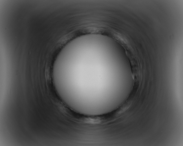X0000086070317200704132046