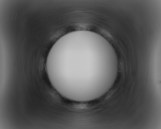 X0000086070318200704132046