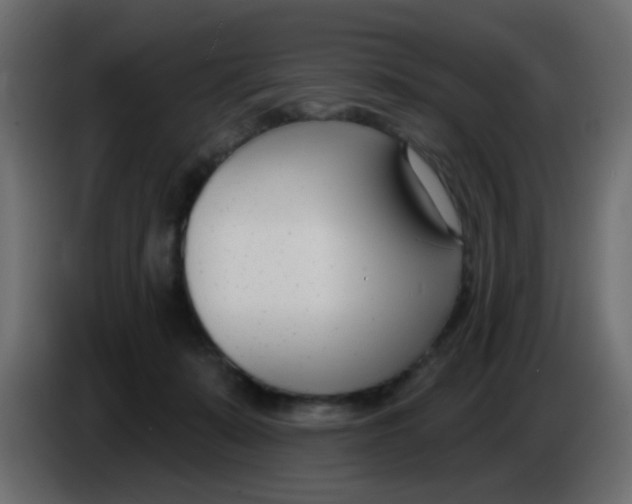 X0000086070319200704132046