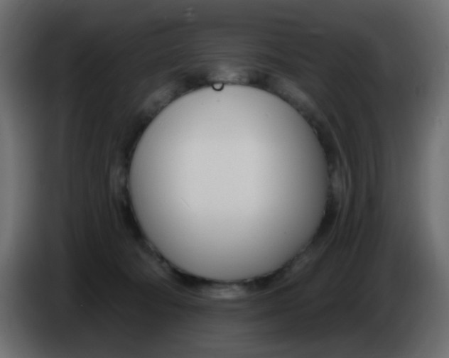 X0000086070322200704132046