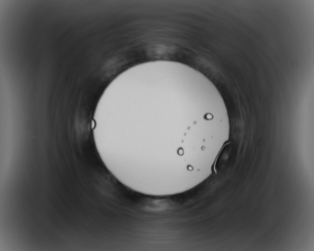 X0000086070324200704132046