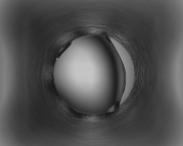 X0000086070325200704132046