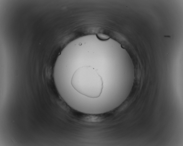 X0000086070326200704132046