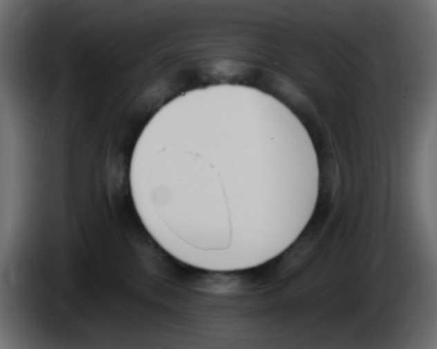 X0000086070328200704132046
