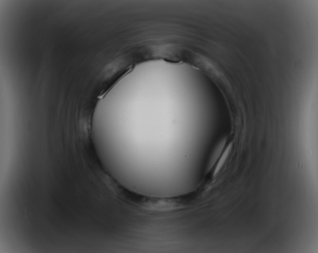 X0000086070329200704132046