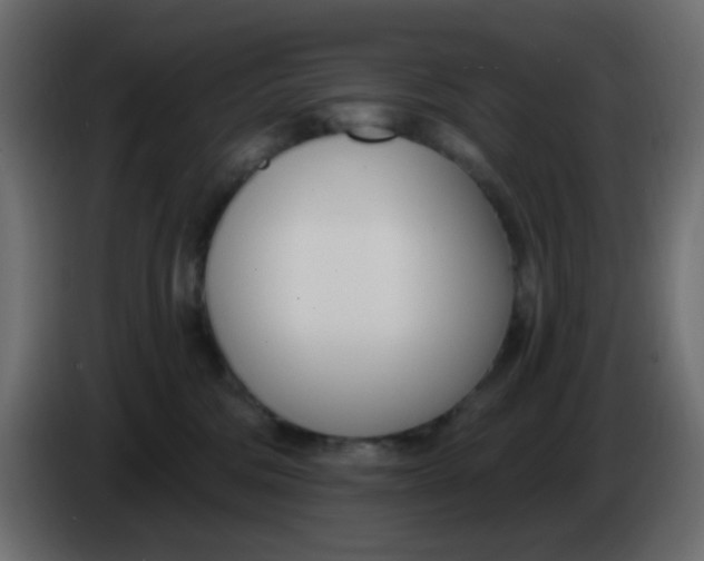 X0000086070330200704132046