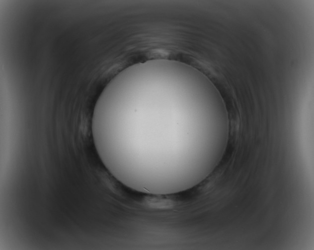 X0000086070331200704132046