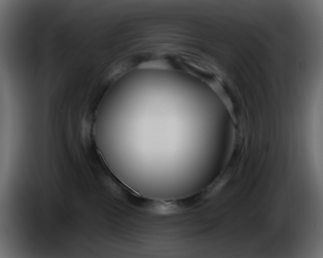 X0000086070333200704132046