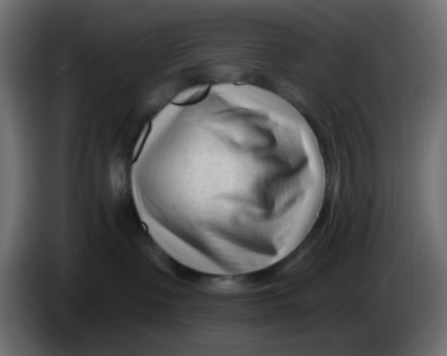 X0000086070335200704132046