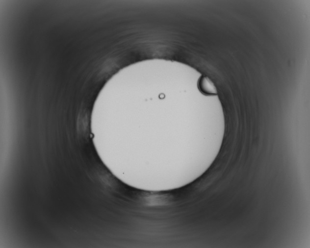 X0000086070336200704132046
