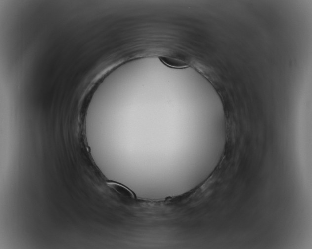 X0000086070338200704132045