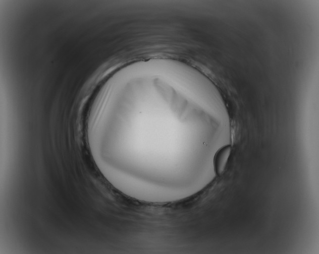 X0000086070339200704132045