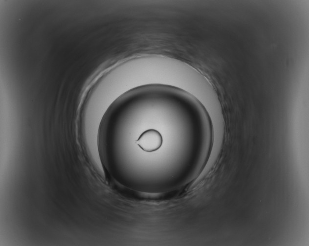 X0000086070340200704132045