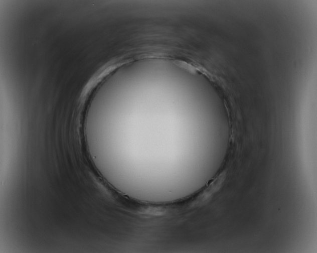 X0000086070341200704132045