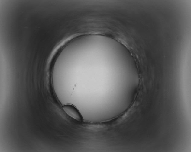 X0000086070342200704132045