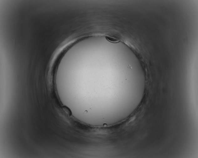 X0000086070343200704132045