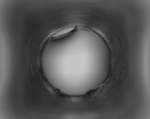 X0000086070345200704132045
