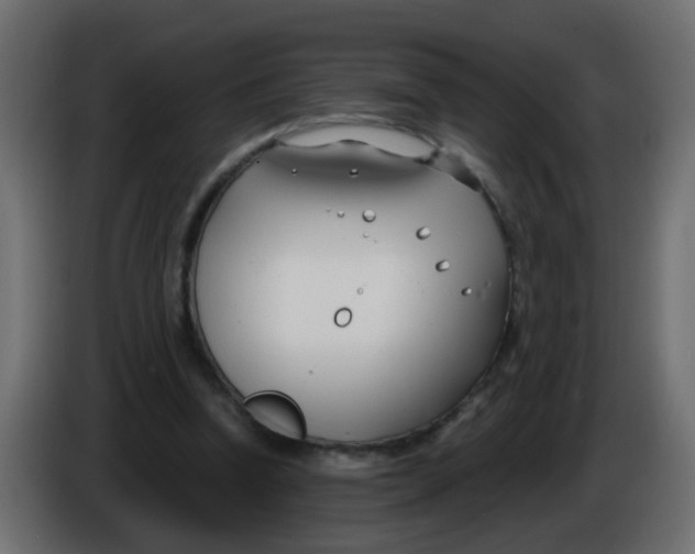 X0000086070346200704132045