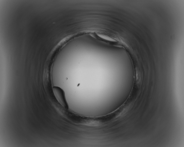 X0000086070348200704132045