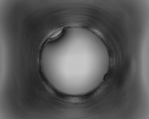 X0000086070349200704132045