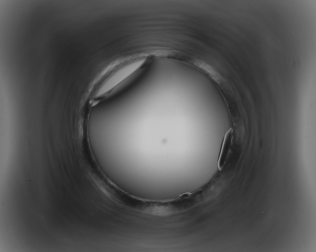X0000086070350200704132045