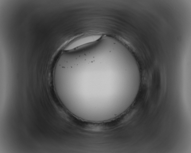 X0000086070351200704132045