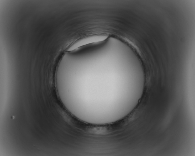 X0000086070353200704132045