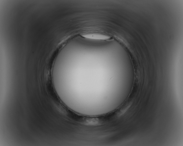 X0000086070355200704132045