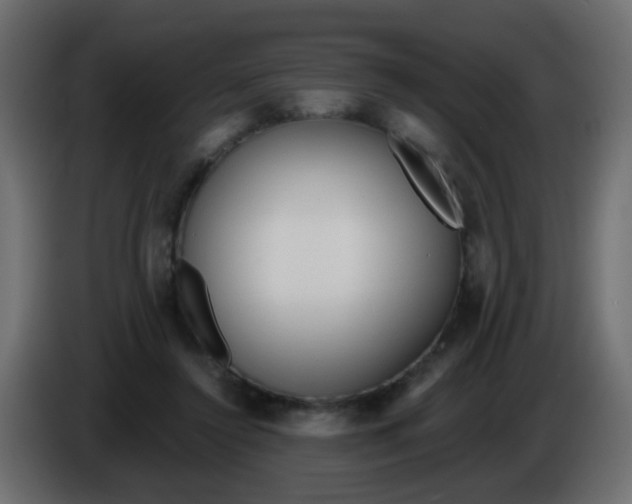 X0000086070356200704132045