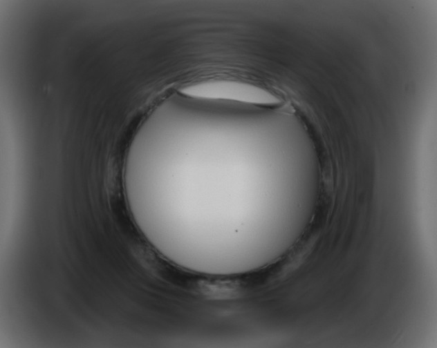X0000086070359200704132045
