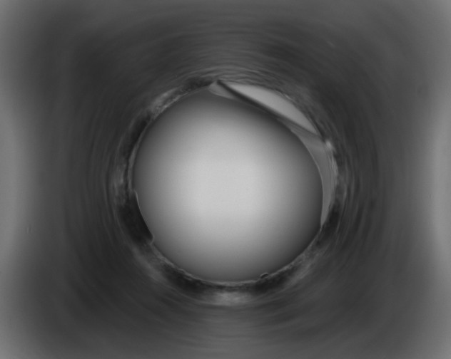X0000086070360200704132045