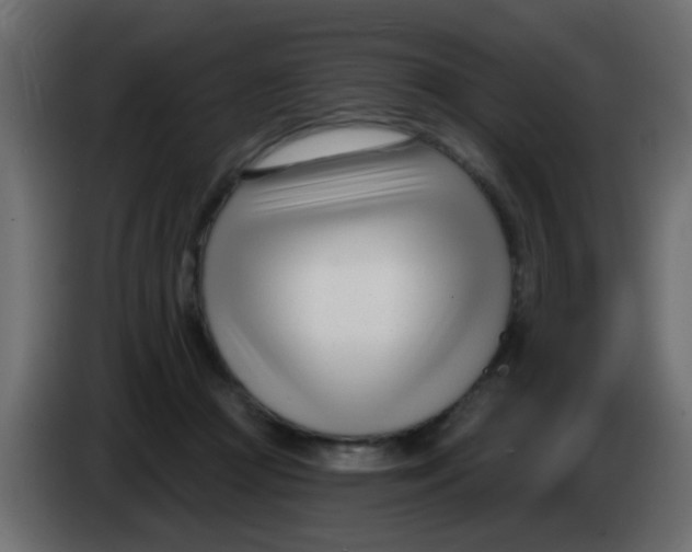 X0000086070361200704132045