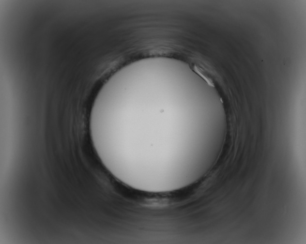 X0000086070362200704132045