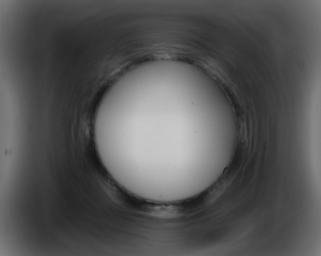 X0000086070363200704132045