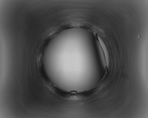X0000086070364200704132045