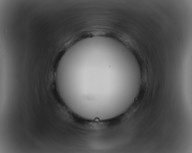 X0000086070367200704132045