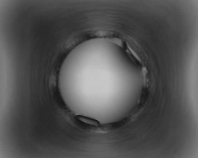 X0000086070368200704132045