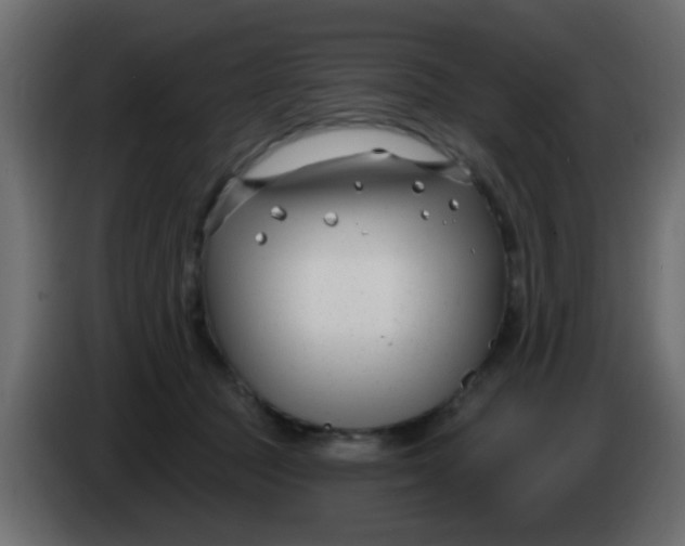 X0000086070369200704132045