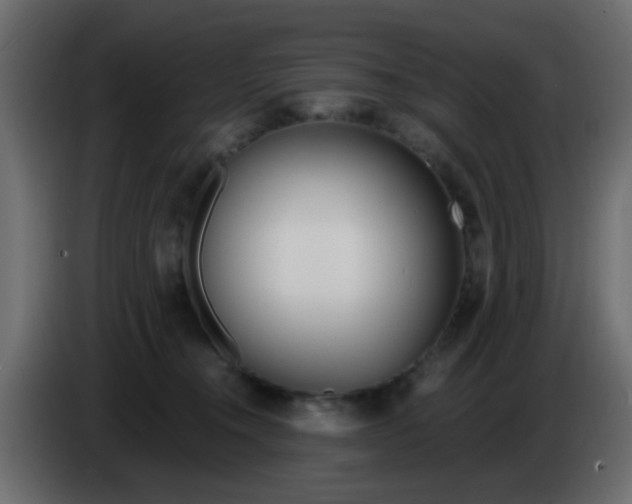 X0000086070372200704132045
