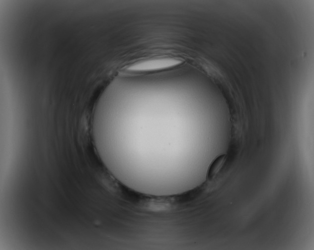 X0000086070373200704132045