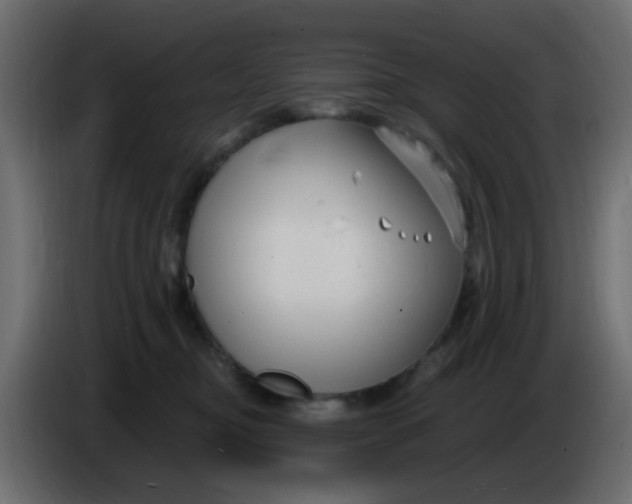 X0000086070374200704132046