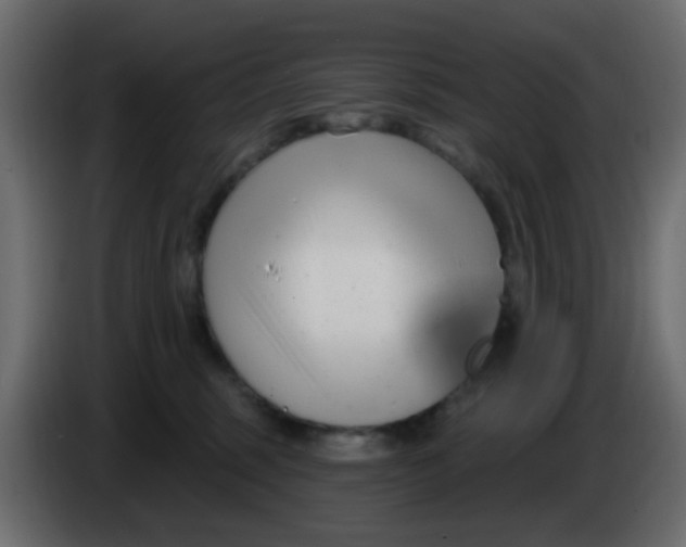 X0000086070375200704132046