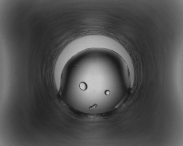 X0000086070376200704132046