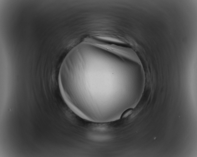X0000086070377200704132046