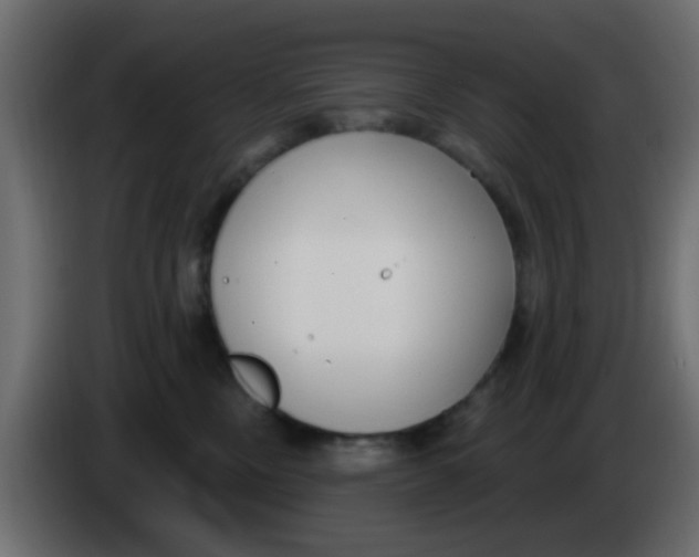 X0000086070378200704132046