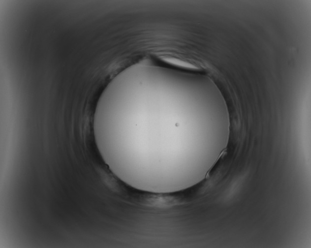 X0000086070379200704132046