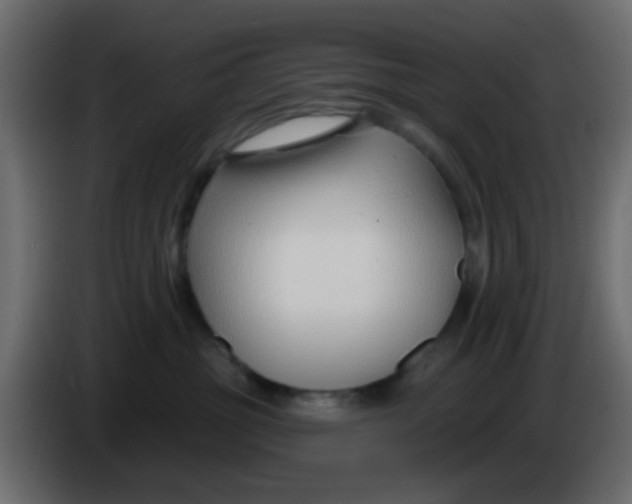 X0000086070381200704132046