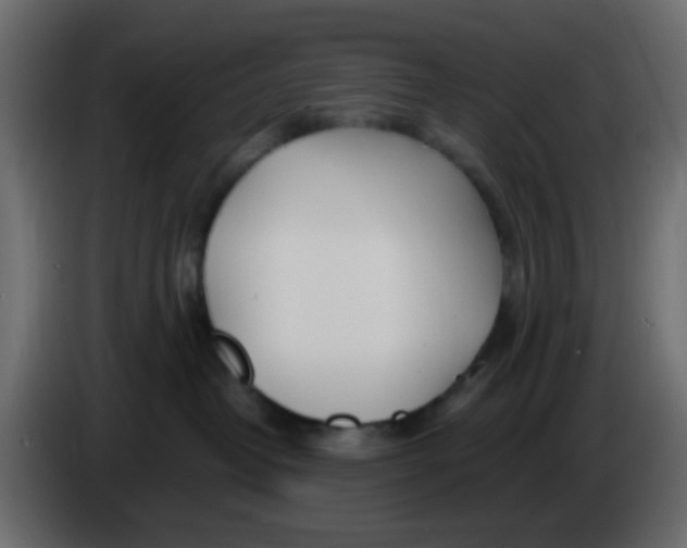 X0000086070382200704132046
