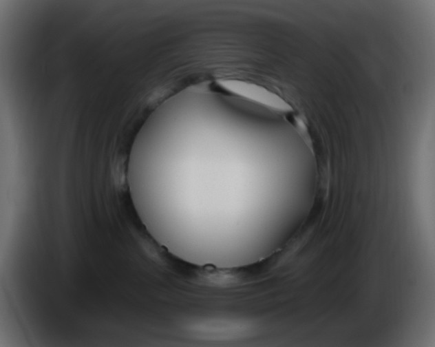 X0000086070383200704132046