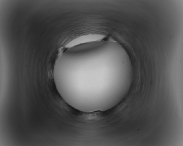 X0000086070384200704132046